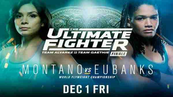 Watch The Ultimate Fighter Montano vs Modafferi